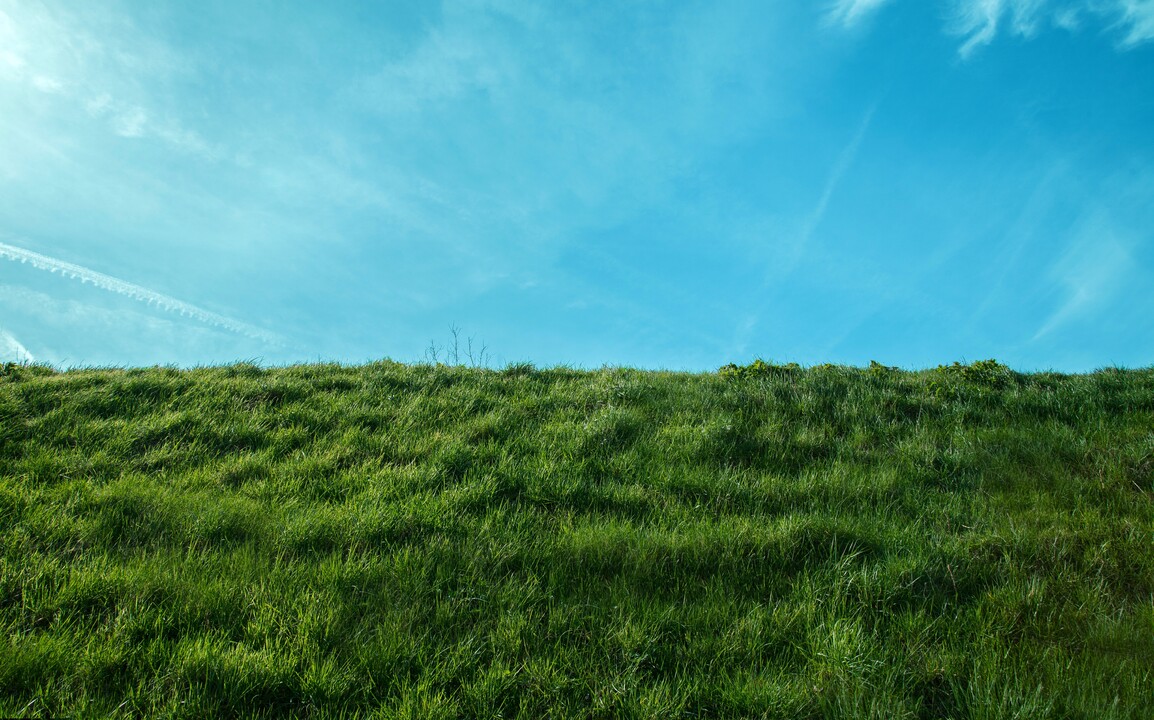 If the grass looks greener, beware the brown patches