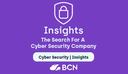 The Search for a Cyber Security Company