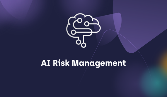 AI Risk Management
